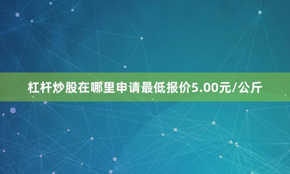 杠杆炒股在哪里申请最低报价5.00元/公斤