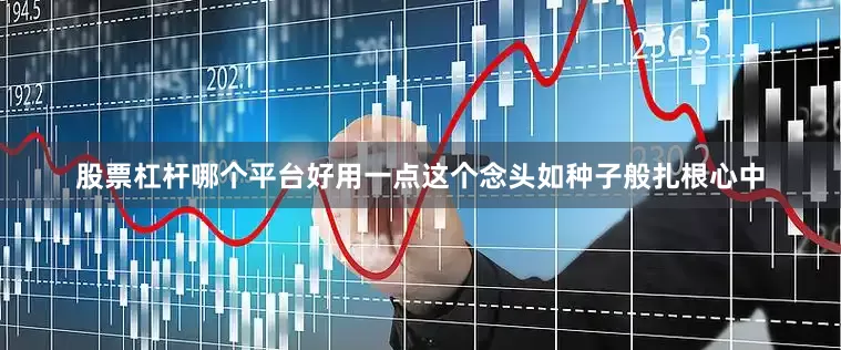 股票杠杆哪个平台好用一点这个念头如种子般扎根心中
