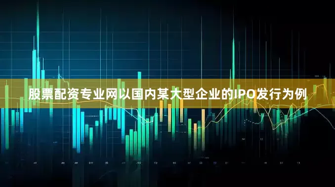股票配资专业网以国内某大型企业的IPO发行为例